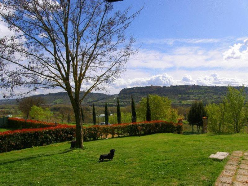 Agriturismo Il Poggio Di Orvieto Exterior photo