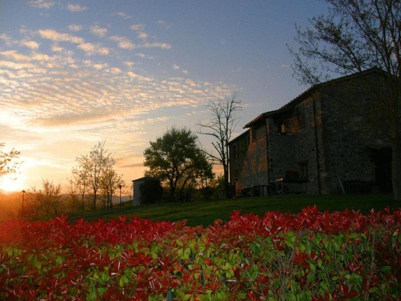 Agriturismo Il Poggio Di Orvieto Exterior photo