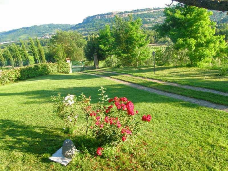 Agriturismo Il Poggio Di Orvieto Exterior photo