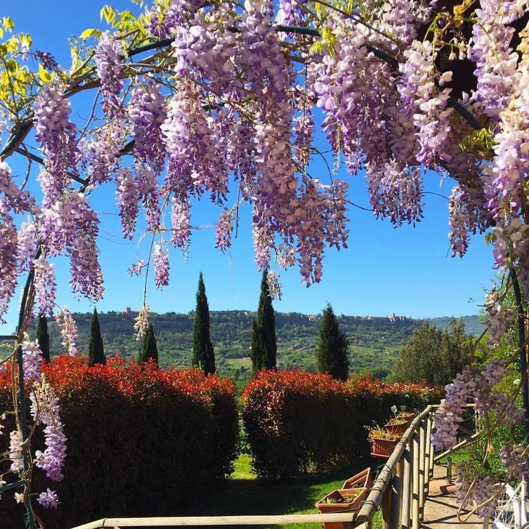 Agriturismo Il Poggio Di Orvieto Exterior photo